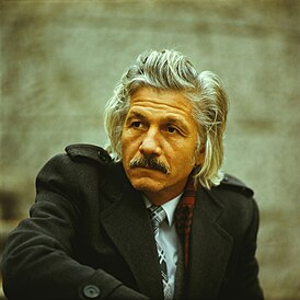 Михай Волонтир