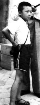 Мао Юаньсинь