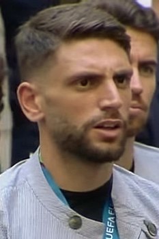 Доменико Берарди